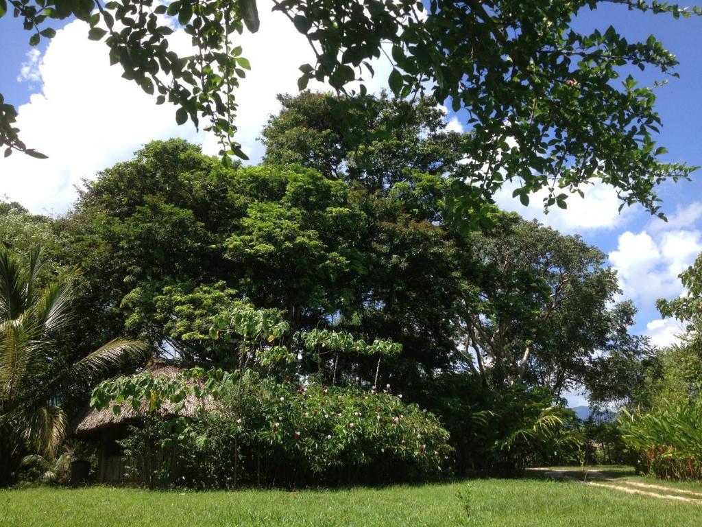 El Colombre Villa Palenque Eksteriør billede