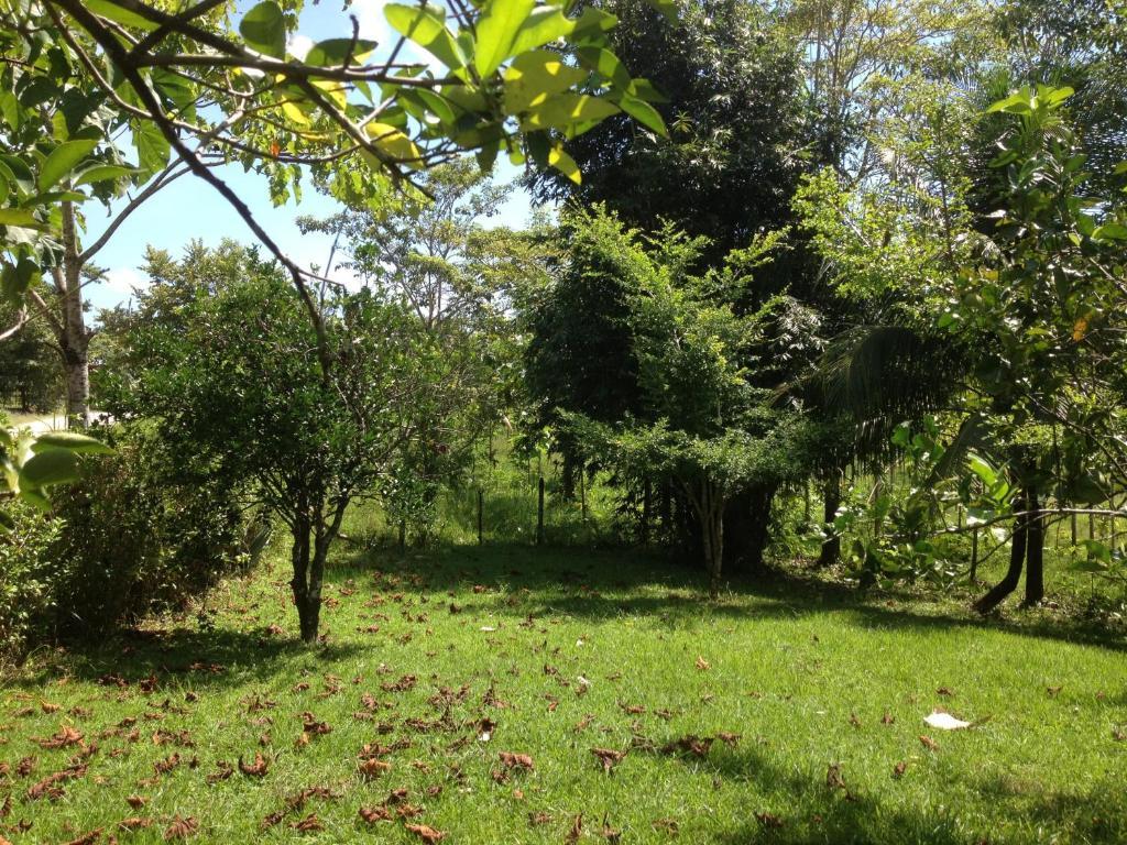 El Colombre Villa Palenque Eksteriør billede